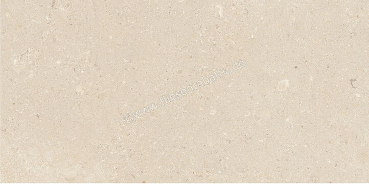  Imola Ceramica Closer Avorio 30x60 cm Bodenfliese / Wandfliese Matt Eben Naturale CLOSER 36AV (200797) | 565814