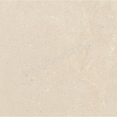  Imola Ceramica Closer Avorio 60x60 cm Bodenfliese / Wandfliese Matt Eben Naturale CLOSER 60AV (200792) | 565841