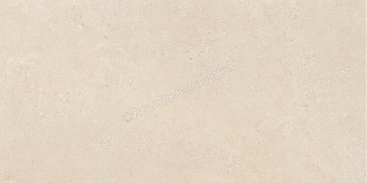  Imola Ceramica Closer Avorio 60x120 cm Bodenfliese / Wandfliese Stärke 6,5 mm Matt Eben Naturale CLOSER6 12AV (200717) | 565913