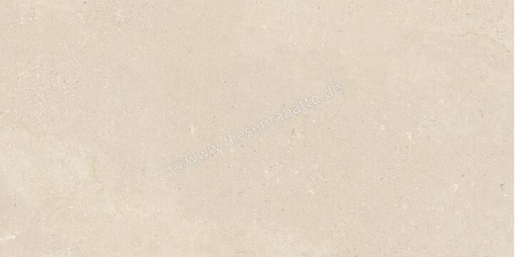  Imola Ceramica Closer Avorio 60x120 cm Bodenfliese / Wandfliese Stärke 6,5 mm Matt Eben Naturale CLOSER6 12AV (200717) | 565922