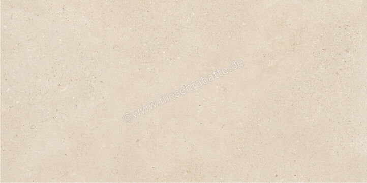  Imola Ceramica Closer Avorio 60x120 cm Bodenfliese / Wandfliese Stärke 6,5 mm Matt Eben Naturale CLOSER6 12AV (200717) | 565928