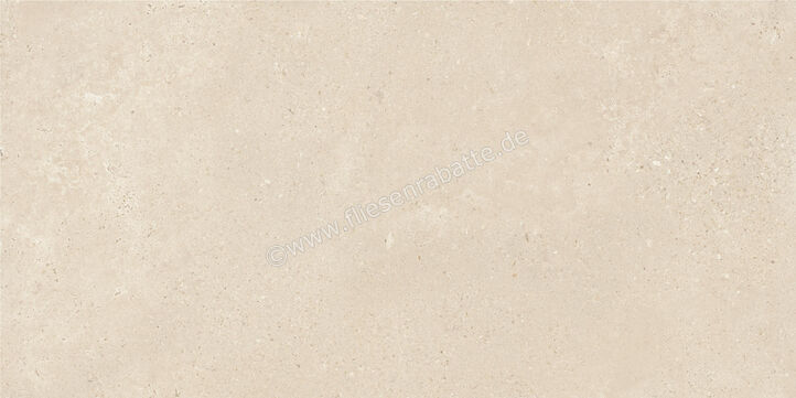  Imola Ceramica Closer Avorio 60x120 cm Bodenfliese / Wandfliese Stärke 6,5 mm Matt Eben Naturale CLOSER6 12AV (200717) | 565931