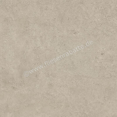 Atlas Concorde Boost Vision Ash 60x60 cm Bodenfliese / Wandfliese Matt Eben Sensitech HCJ2 | 567908