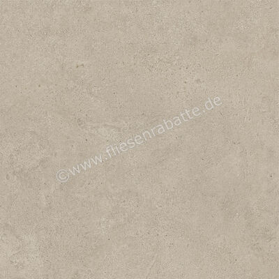  Atlas Concorde Boost Vision Ash 60x60 cm Bodenfliese / Wandfliese Matt Eben Sensitech HCJ2 | 567911