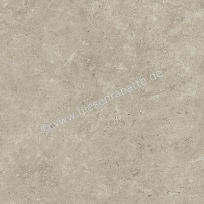  Atlas Concorde Nyra Mist 120x120 cm Bodenfliese / Wandfliese Matt Eben Sensitech HCQ0 | 568712