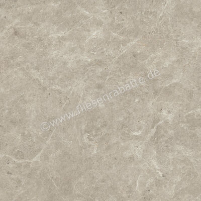  Atlas Concorde Nyra Mist 120x120 cm Bodenfliese / Wandfliese Matt Eben Sensitech HCQ0 | 568715