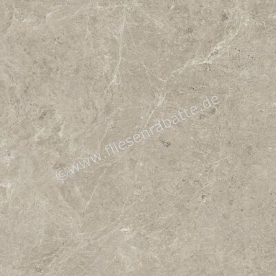  Atlas Concorde Nyra Mist 120x120 cm Bodenfliese / Wandfliese Matt Eben Sensitech HCQ0 | 568727