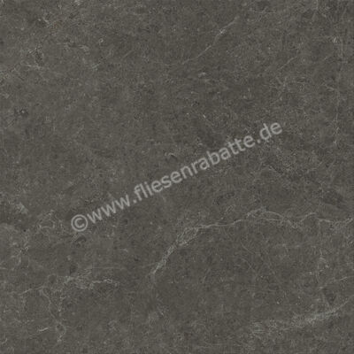  Atlas Concorde Nyra Charcoal 120x120 cm Bodenfliese / Wandfliese Matt Eben Sensitech HCQ2 | 568766