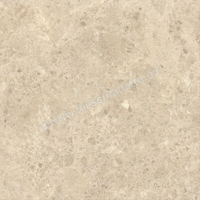  Atlas Concorde Nyra Ambrosia 120x120 cm Bodenfliese / Wandfliese Matt Eben Sensitech HCQ3 | 568784