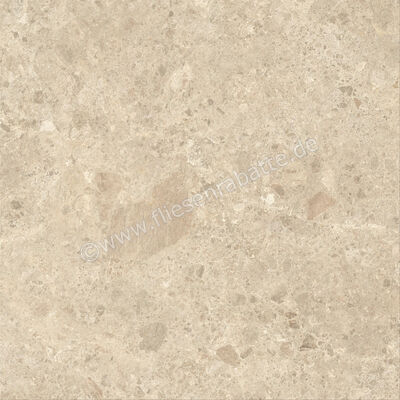  Atlas Concorde Nyra Ambrosia 120x120 cm Bodenfliese / Wandfliese Matt Eben Sensitech HCQ3 | 568787