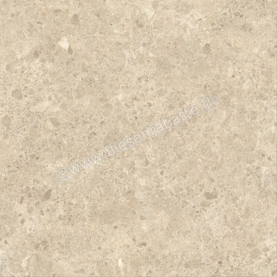  Atlas Concorde Nyra Ambrosia 120x120 cm Bodenfliese / Wandfliese Matt Eben Sensitech HCQ3 | 568790