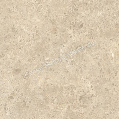  Atlas Concorde Nyra Ambrosia 120x120 cm Bodenfliese / Wandfliese Matt Eben Sensitech HCQ3 | 568793