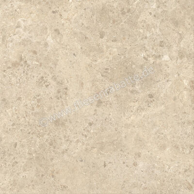  Atlas Concorde Nyra Ambrosia 120x120 cm Bodenfliese / Wandfliese Matt Eben Sensitech HCQ3 | 568796