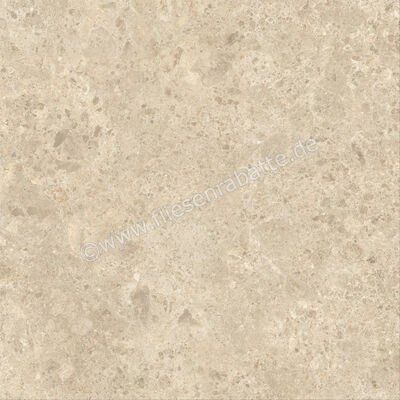  Atlas Concorde Nyra Ambrosia 120x120 cm Bodenfliese / Wandfliese Matt Eben Sensitech HCQ3 | 568799