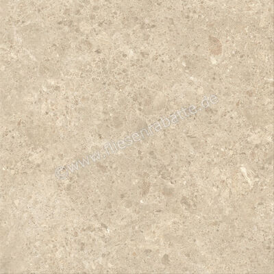  Atlas Concorde Nyra Ambrosia 120x120 cm Bodenfliese / Wandfliese Matt Eben Sensitech HCQ3 | 568802