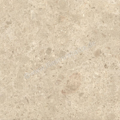  Atlas Concorde Nyra Ambrosia 120x120 cm Bodenfliese / Wandfliese Matt Eben Sensitech HCQ3 | 568805