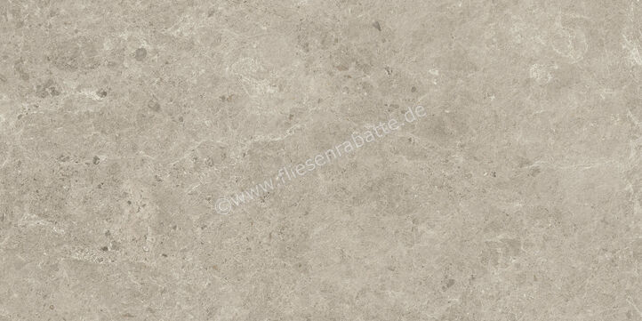  Atlas Concorde Nyra Mist 60x120 cm Bodenfliese / Wandfliese Matt Eben Sensitech HCQ7 | 568844