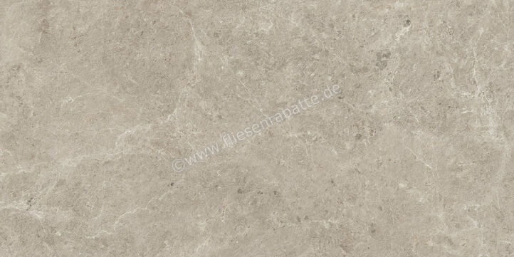  Atlas Concorde Nyra Mist 60x120 cm Bodenfliese / Wandfliese Matt Eben Sensitech HCQ7 | 568853