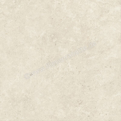  Atlas Concorde Nyra Star 120x120 cm Bodenfliese / Wandfliese Matt Eben Sensitech HCQX | 569096