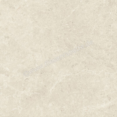  Atlas Concorde Nyra Star 120x120 cm Bodenfliese / Wandfliese Matt Eben Sensitech HCQX | 569102