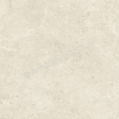  Atlas Concorde Nyra Star 120x120 cm Bodenfliese / Wandfliese Matt Eben Sensitech HCQX | 569108