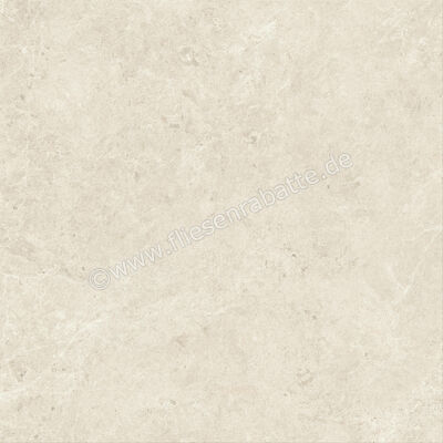  Atlas Concorde Nyra Star 120x120 cm Bodenfliese / Wandfliese Matt Eben Sensitech HCQX | 569114