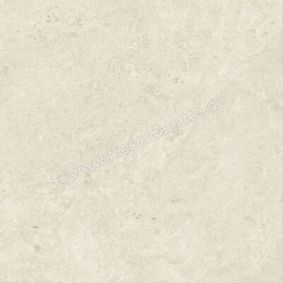  Atlas Concorde Nyra Star 120x120 cm Bodenfliese / Wandfliese Matt Eben Sensitech HCQX | 569117