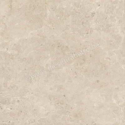  Atlas Concorde Nyra Sunlight 120x120 cm Bodenfliese / Wandfliese Matt Eben Sensitech HCQZ | 569156