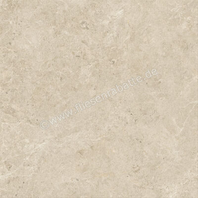  Atlas Concorde Nyra Sunlight 120x120 cm Bodenfliese / Wandfliese Matt Eben Sensitech HCQZ | 569162