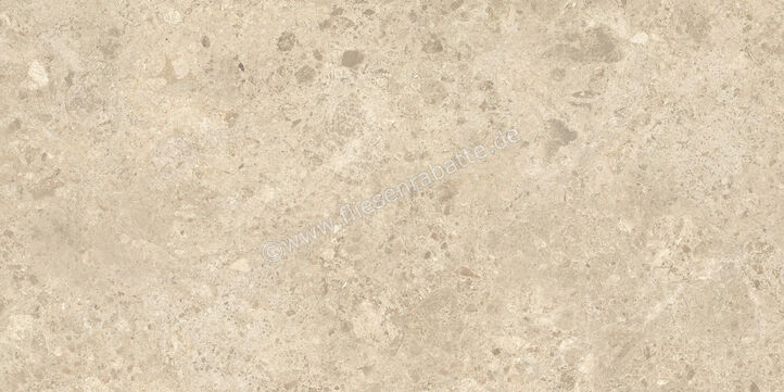  Atlas Concorde Nyra Ambrosia 60x120 cm Bodenfliese / Wandfliese Matt Eben Sensitech HCRA | 569204