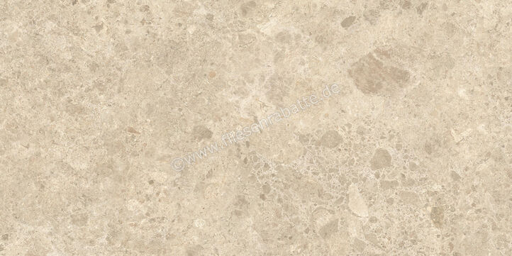  Atlas Concorde Nyra Ambrosia 60x120 cm Bodenfliese / Wandfliese Matt Eben Sensitech HCRA | 569207