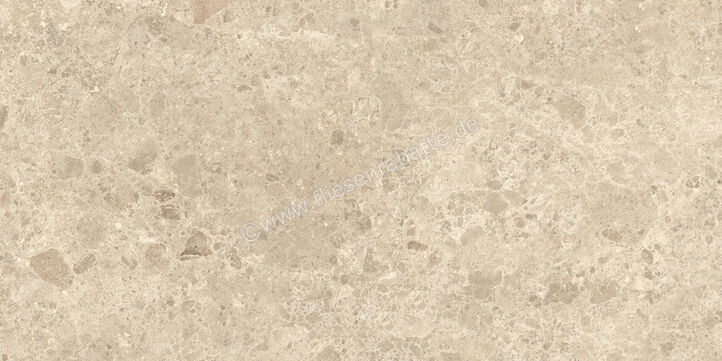  Atlas Concorde Nyra Ambrosia 60x120 cm Bodenfliese / Wandfliese Matt Eben Sensitech HCRA | 569210