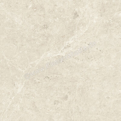  Atlas Concorde Nyra Star 60x60 cm Bodenfliese / Wandfliese Matt Eben Sensitech HCRF | 569267