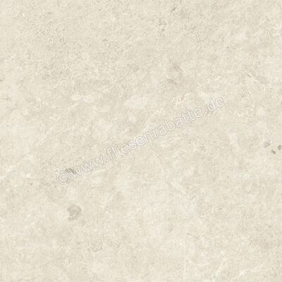  Atlas Concorde Nyra Star 60x60 cm Bodenfliese / Wandfliese Matt Eben Sensitech HCRF | 569270