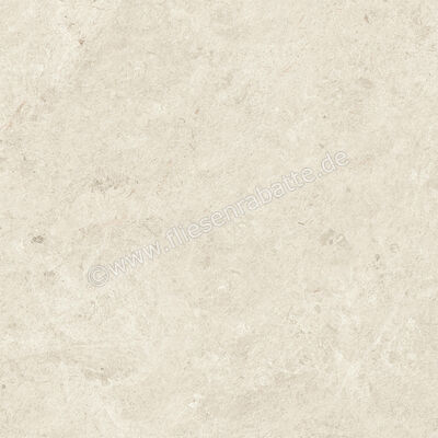  Atlas Concorde Nyra Star 60x60 cm Bodenfliese / Wandfliese Matt Eben Sensitech HCRF | 569273