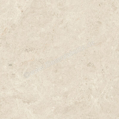  Atlas Concorde Nyra Hay 60x60 cm Bodenfliese / Wandfliese Matt Eben Sensitech HCRG | 569285