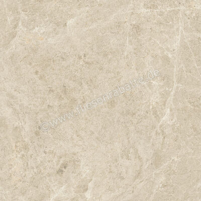  Atlas Concorde Nyra Sunlight 60x60 cm Bodenfliese / Wandfliese Matt Eben Sensitech HCRH | 569288