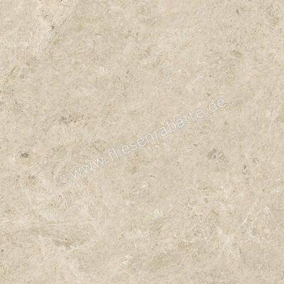  Atlas Concorde Nyra Sunlight 60x60 cm Bodenfliese / Wandfliese Matt Eben Sensitech HCRH | 569297