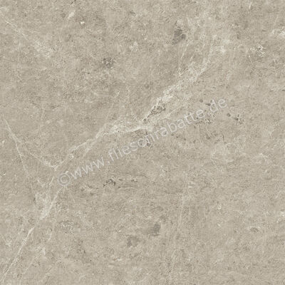  Atlas Concorde Nyra Mist 60x60 cm Bodenfliese / Wandfliese Matt Eben Sensitech HCRI | 569303