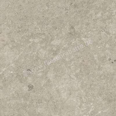  Atlas Concorde Nyra Mist 60x60 cm Bodenfliese / Wandfliese Matt Eben Sensitech HCRI | 569306