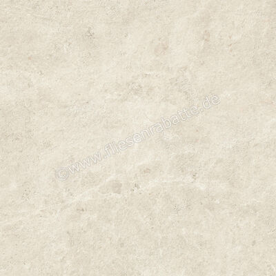  Atlas Concorde Nyra Outdoor Star 80x80x2 cm Terrassenplatte Matt Eben Sensitech HCSP | 569642