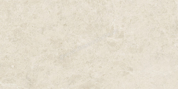  Atlas Concorde Nyra Star 40x80 cm Wandfliese Star Field Matt Eben Naturale HCSX | 569732