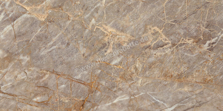  Atlas Concorde Marvel Epic Natural Roots 60x120 cm Bodenfliese / Wandfliese Glänzend Eben Lappato HEIK | 571196