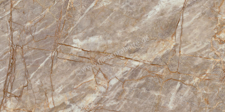  Atlas Concorde Marvel Epic Natural Roots 60x120 cm Bodenfliese / Wandfliese Glänzend Eben Lappato HEIK | 571199