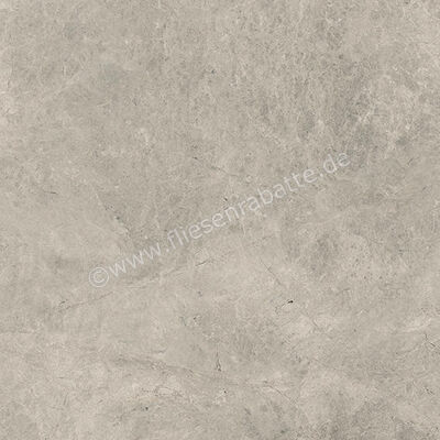  Ceramiche Caesar Haven Earth 60x60 cm Bodenfliese / Wandfliese Matt Eben Naturale AIMI | 571619