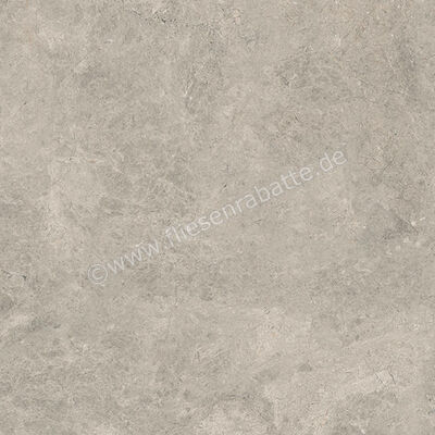  Ceramiche Caesar Haven Earth 60x60 cm Bodenfliese / Wandfliese Matt Eben Naturale AIMI | 571628