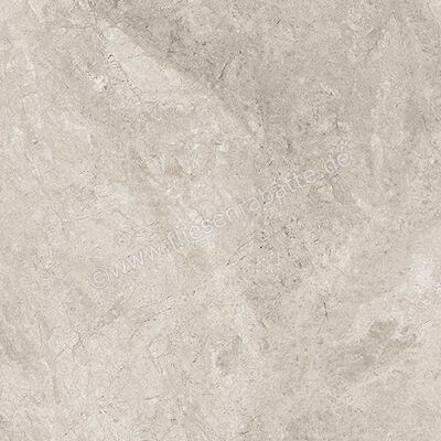  Ceramiche Caesar Haven Shale 60x60 cm Bodenfliese / Wandfliese Matt Eben Naturale AIME | 571685