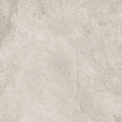  Ceramiche Caesar Haven Shale 60x60 cm Bodenfliese / Wandfliese Matt Eben Naturale AIME | 571691
