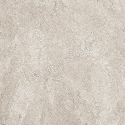  Ceramiche Caesar Haven Shale 60x60 cm Bodenfliese / Wandfliese Matt Eben Naturale AIME | 571694