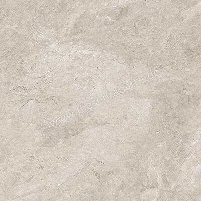  Ceramiche Caesar Haven Shale 60x60 cm Bodenfliese / Wandfliese Matt Eben Naturale AIME | 571697